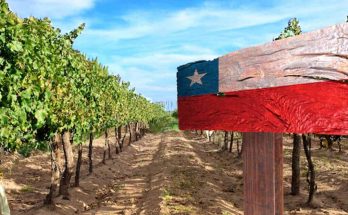 Brasil é o maior mercado consumidor de vinhos chilenos