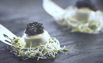 caviar no uruguai