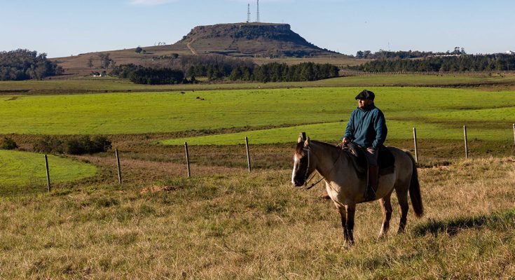 Terroir da Campanha Gaúcha no Piquete El Topador 2023