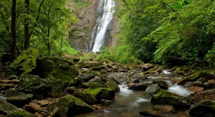 Reserva Natural Salto Morato é opção para as férias