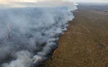 Pantanal pode perder título de Patrimônio Natural da Humanidade