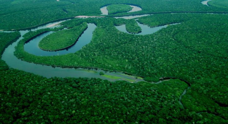 Reforço do compromisso ESG na AmazôniaReforço do compromisso ESG na Amazônia