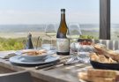 punta wine trip uruguai