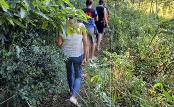 caminhada etnobotânica paraguai divulgação ip