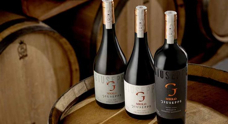 miolo linha giuseppe divulgação