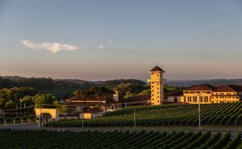 miolo anoitecer divulgação