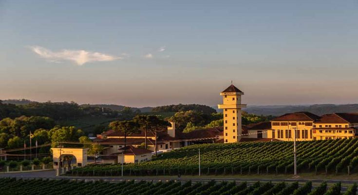 miolo anoitecer divulgação