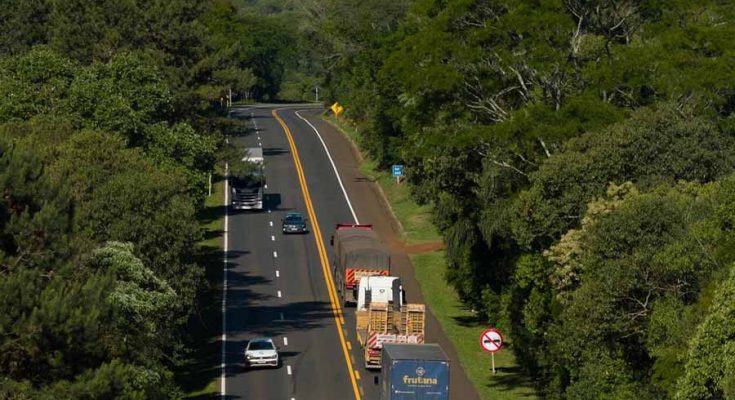 epr operação verão paraná