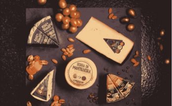 4º Mundial do Queijo do Brasil nova