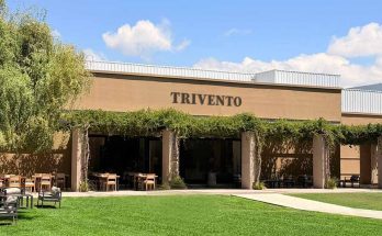 vinícola trivento
