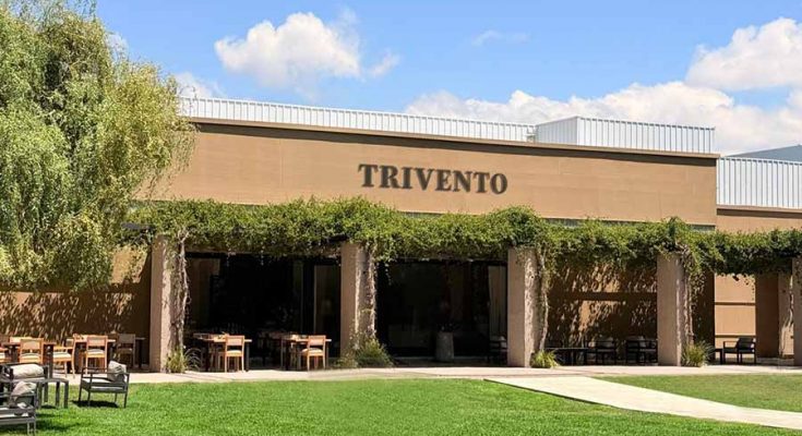 vinícola trivento